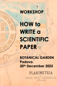 Screenshot 2025-11-17 alle 10.42.51