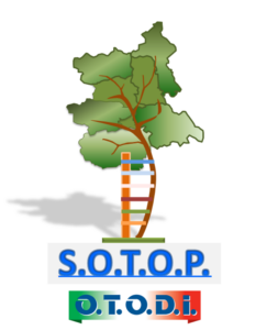 SOTOP